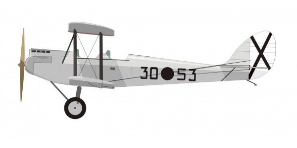 De Havilland DH-60 G II.